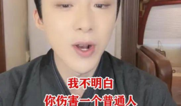 吃瓜娱乐圈刘宇宁,吃瓜娱乐圈，揭秘明星背后的故事